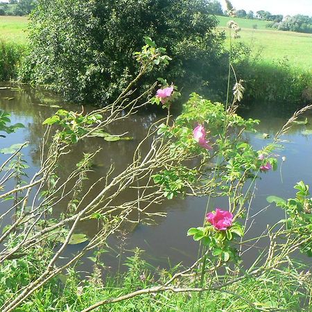 Gite De L'Aure Trevieres Luaran gambar