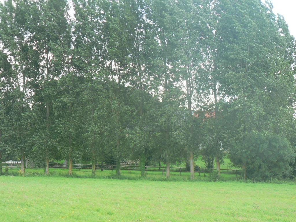 Gite De L'Aure Trevieres Luaran gambar