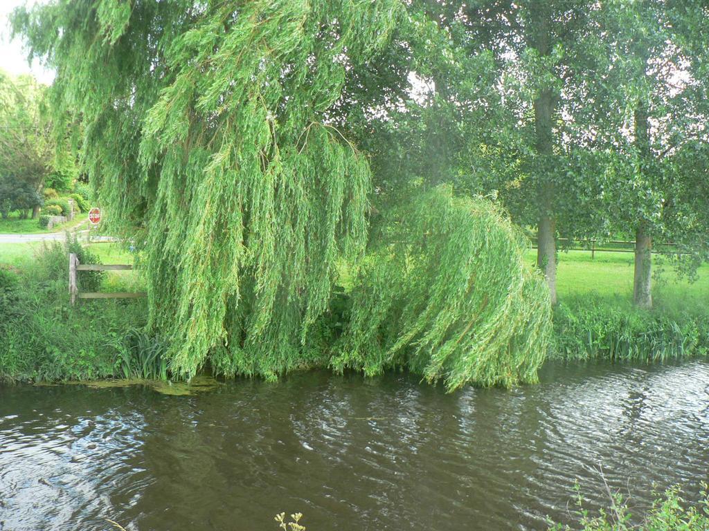 Gite De L'Aure Trevieres Luaran gambar