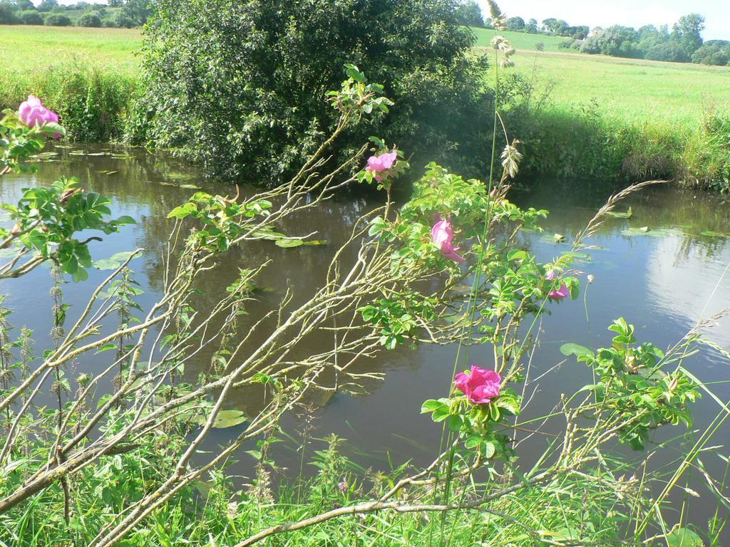 Gite De L'Aure Trevieres Luaran gambar